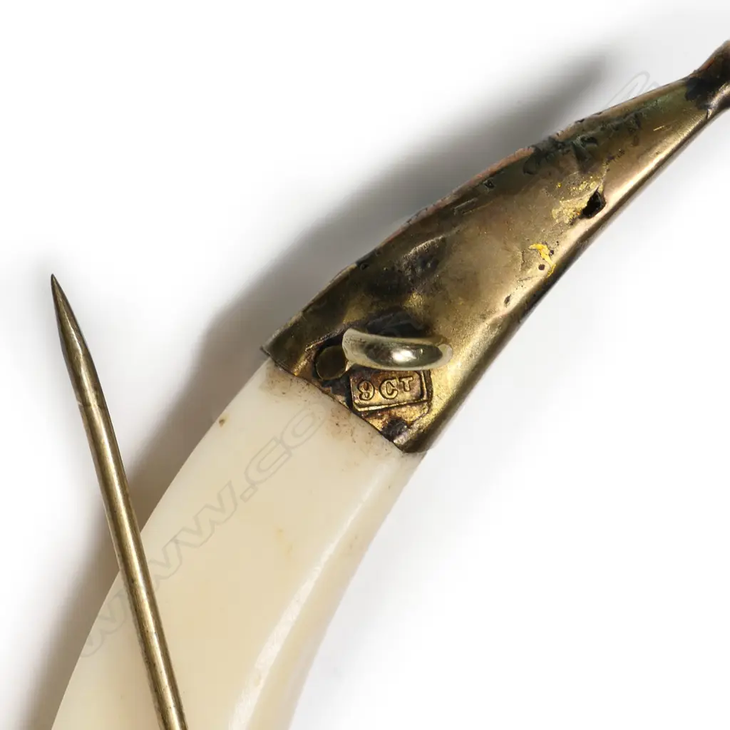 R.T. Young 9ct gold mounted boar's tusk brooch, Image 1++